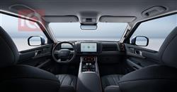 بي واي دي شارك 6